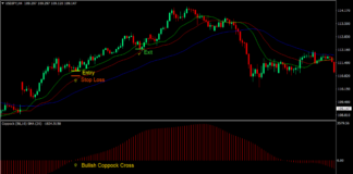 Coppock Alligator Cross Forex Trading Strategy 2