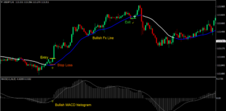 MACD FX Line Forex Trading Strategy 1