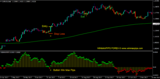 Gann Max Pips Forex Trading Strategy 1