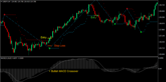 MACD Magic Trend Forex Trading Strategy 1