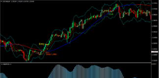 MACD Mega Trend Forex Trading Strategy 1