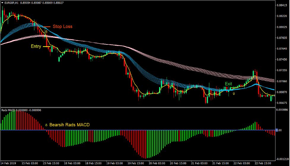 Rads MACD Trend Forex Trading Strategy 4
