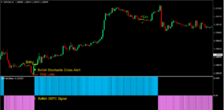 Stochastic Cross Reversal Forex Trading Strategy