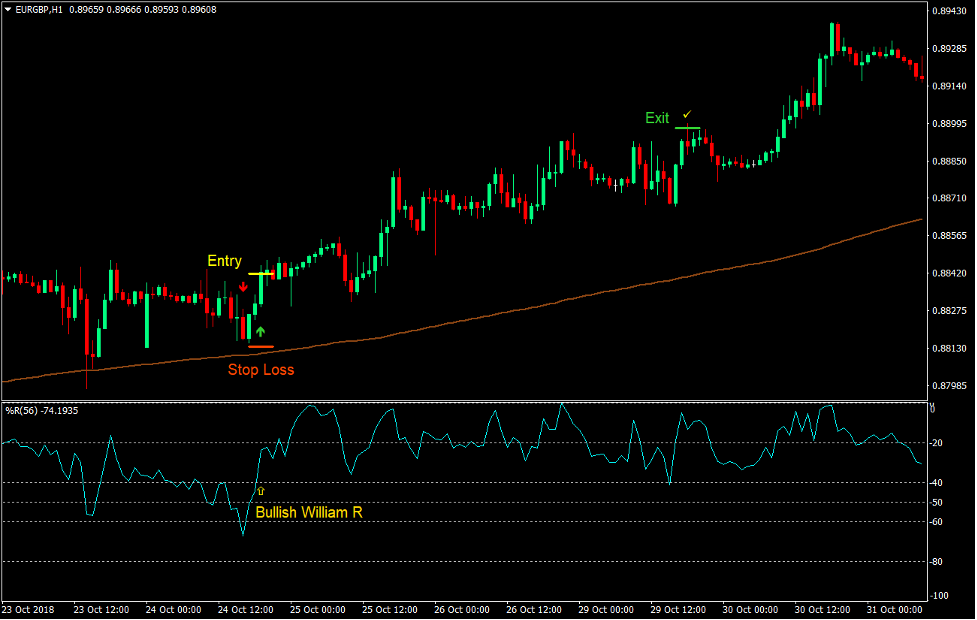 William R Momentum Trading Strategy 2