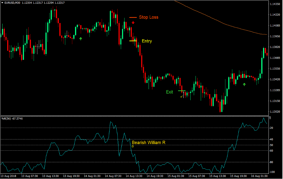 William R Momentum Trading Strategy 4