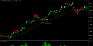 Fisher 5-6 Trend Forex Trading Strategy