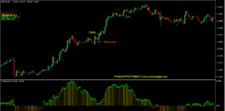 Win Max Pips Forex Trading Strategy